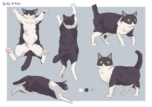 Daidai Cat Form