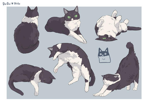 Daidai Cat Form